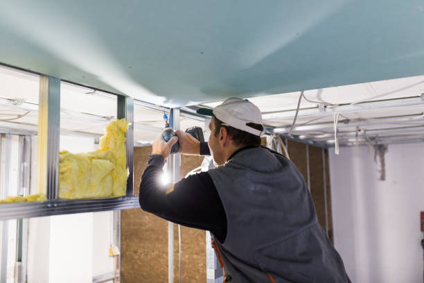 Best Residential Insulation in Grove Hill, AL